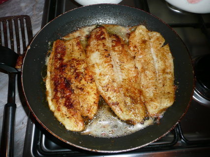 FOTKA - Prodn pangasius