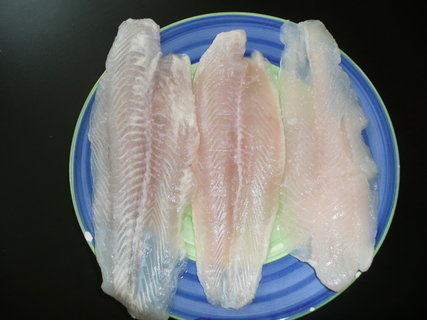 FOTKA - Pangasius na esneku