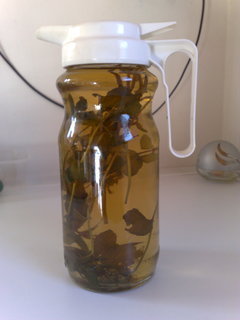 FOTKA - M�tov� uklid�ov�k