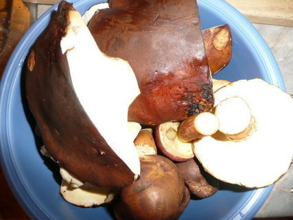 FOTKA - Houbov polvka s bramborem