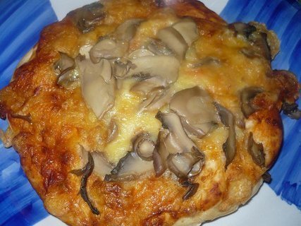 FOTKA - Jednoduch houbov pizza